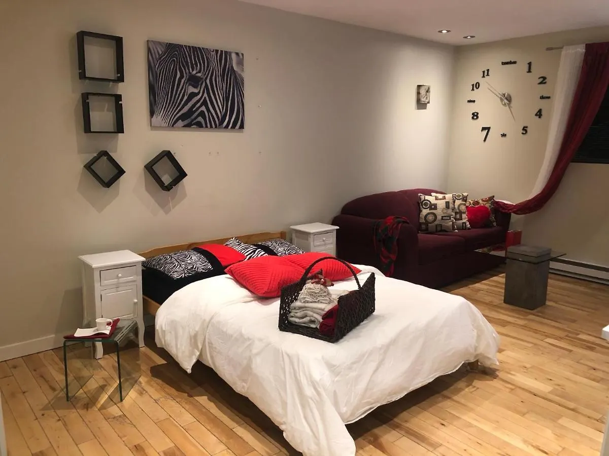 Apartment Modern Studio In Heart Of Osborne Village Winnipeg Canada